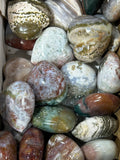 Ocean Jasper Mini Hearts