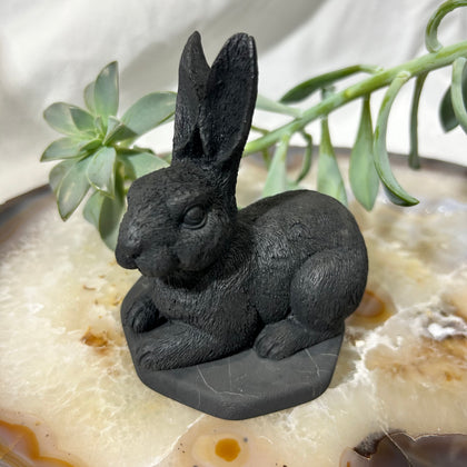 Shungite Rabbit