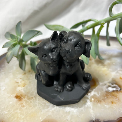 Shungite Cat and Dog