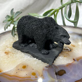 Shungite Grizzly Bear