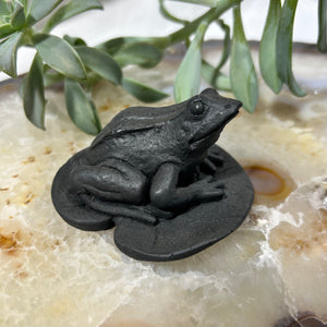 Shungite Frog on Leaf