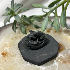 Shungite Frog on Pebble