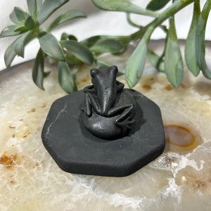Shungite Frog on Pebble