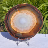 Agate Slices Natural