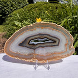 Agate Slices Natural