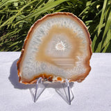 Agate Slices Natural