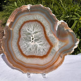 Agate Slices Natural