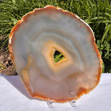 Agate Slices Natural