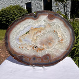 Agate Slices Natural