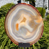 Agate Slices Natural on Stand