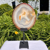 Agate Slices Natural on Stand