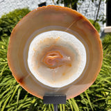 Agate Slices Natural on Stand