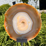 Agate Slices Natural on Stand