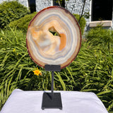 Agate Slices Natural on Stand