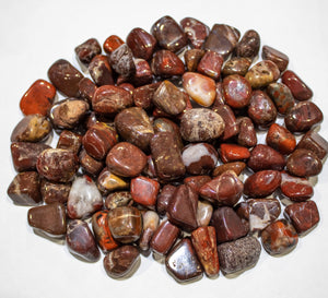 Brecciated Jasper Tumbled 10-20mm