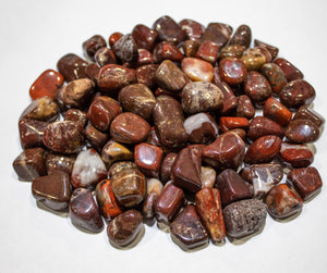 Brecciated Jasper Tumbled 10-20mm