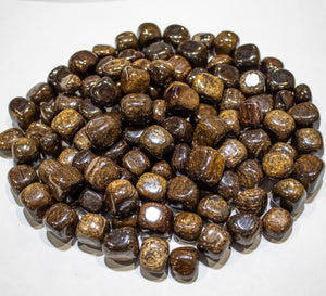 Bronzite Tumbled 10-20mm