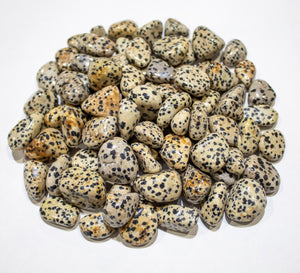 Dalmatian Jasper Tumbled 10-20mm