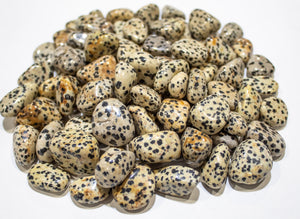 Dalmatian Jasper Tumbled 10-20mm