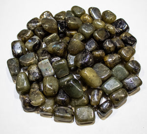 Labradorite Tumbled  10-20mm