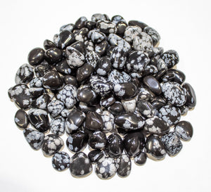 Black Snowflake Obsidian Tumbled 10-20mm