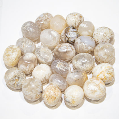 Snow Agate Tumbled