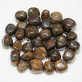 Bronzite Tumbled 20-30mm