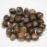 Bronzite Tumbled 20-30mm