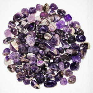 Chevron Amethyst Tumbled 10-20mm