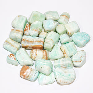 Caribbean Calcite Tumbled
