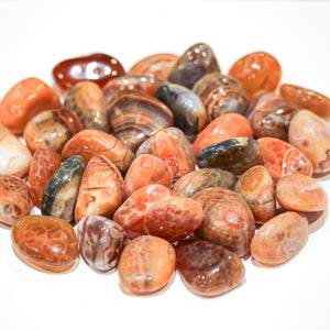 Fire Agate Tumbled 30-45mm