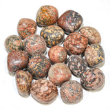 Leopard Skin Tumbled 30-45mm