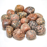 Leopard Skin Tumbled 30-45mm