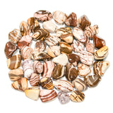 Red Zebra Jasper Tumbled 20-30mm