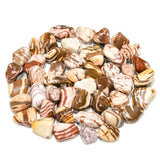 Red Zebra Jasper Tumbled 20-30mm