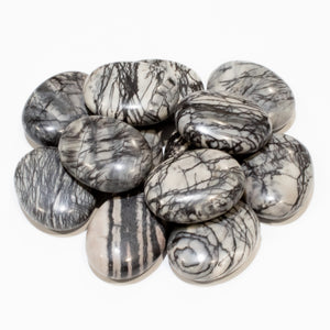 Zebra Jasper Pillows