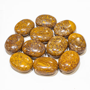 Miriam Jasper Pillows