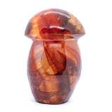 Carnelian Mushrooms