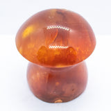 Carnelian Mushrooms