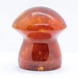 Carnelian Mushrooms