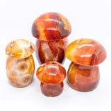 Carnelian Mushrooms