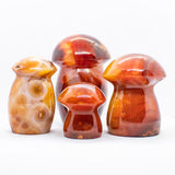 Carnelian Mushrooms