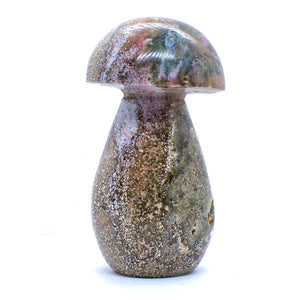 Ocean Jasper Mushrooms
