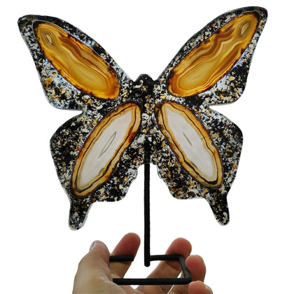 Agate Butterfly on Black Stand