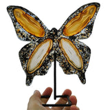 Agate Butterfly Small