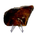 Amber Slabs