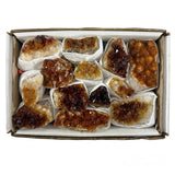 Citrine Clusters Flat