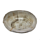 Petrified Wood Bowl Medium