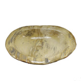 Petrified Wood Bowl Medium