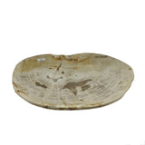 Petrified Wood Plate M